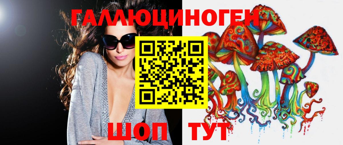 Псилоцибиновые грибы GOLDEN TEACHER Ленинск-Кузнецкий