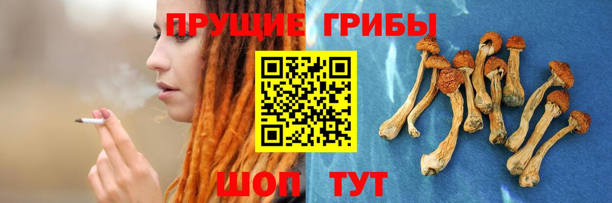 Ленинск-Кузнецкий  Псилоцибиновые грибы Magic Shrooms  купить наркотики сайты  Галлюциногенные грибы мицелий  Вход с VPN 